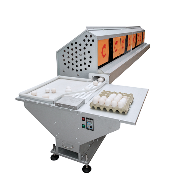 Bolong Automatic Egg Collector: The Future of Poultry Farming