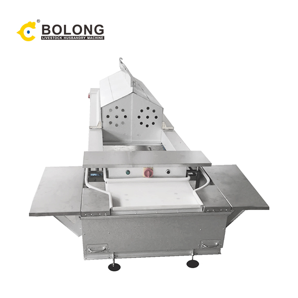 Bolong Automatic Egg Collector: Improving Food Safety and Quality