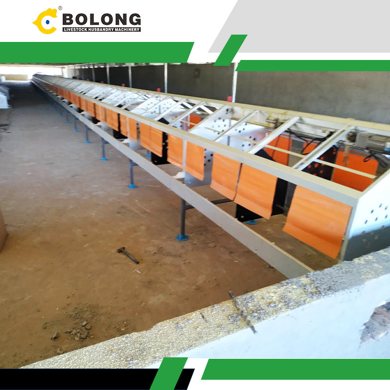 How the Bolong Automatic Egg Collector Saves Time and Labor Costs